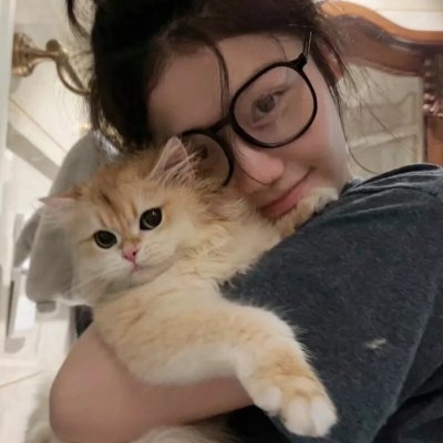 你是猪
