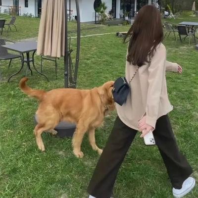 诡室