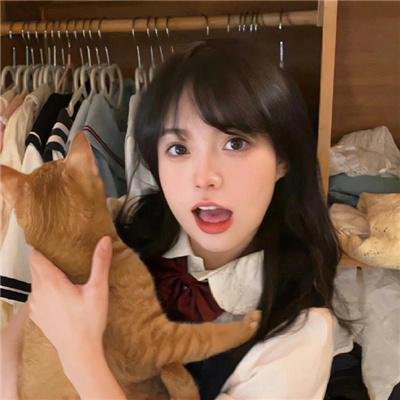 毛毯猫